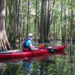 Kayaker floating among Cypress trees