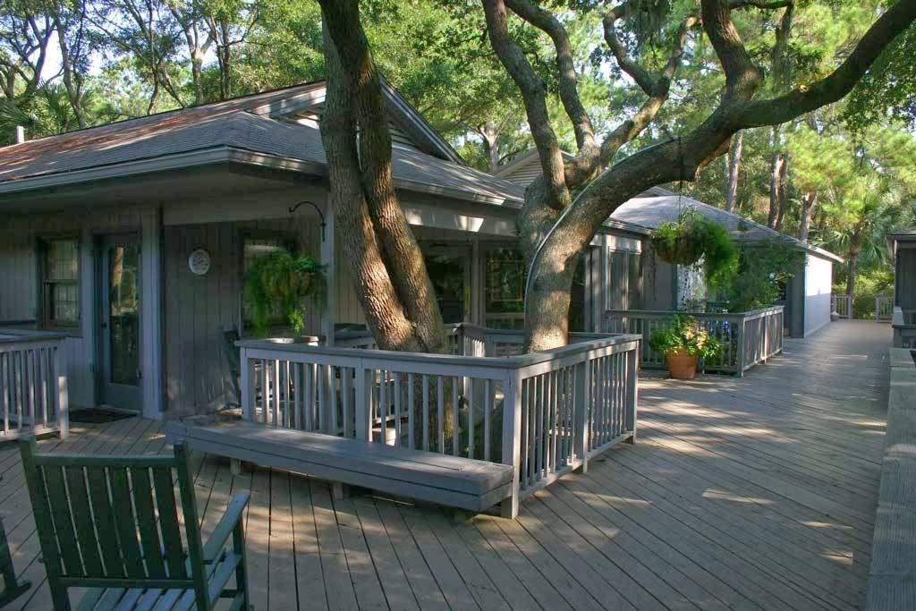 Oaks over swamp